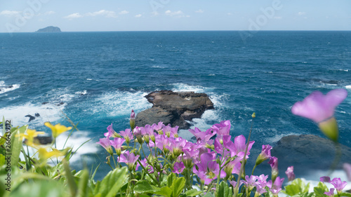 beautiful beach with deep blue water and light blue sky and nice flower
