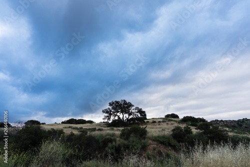 Dark morning clouds with lo...