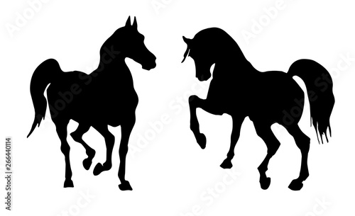 vector isolated black silhouettes of two galloping horses on white background