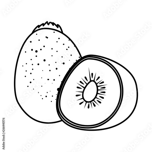 fresh kiwi half exotic fruit