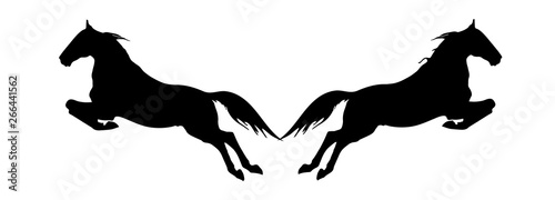 vector isolated black silhouettes of two galloping horses on white background