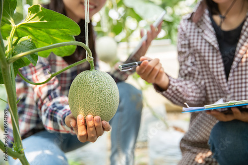 Young agricultural researchers are holding a large melon in their hands with smile face. This farm is organic farming. Melon here is delicious. Especially Honey Dew Melon is very popular. © doidam10