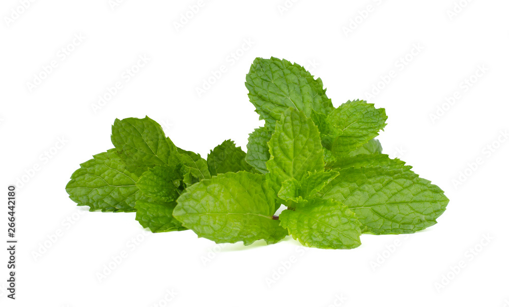 Fresh mint leaves isolated on white background.