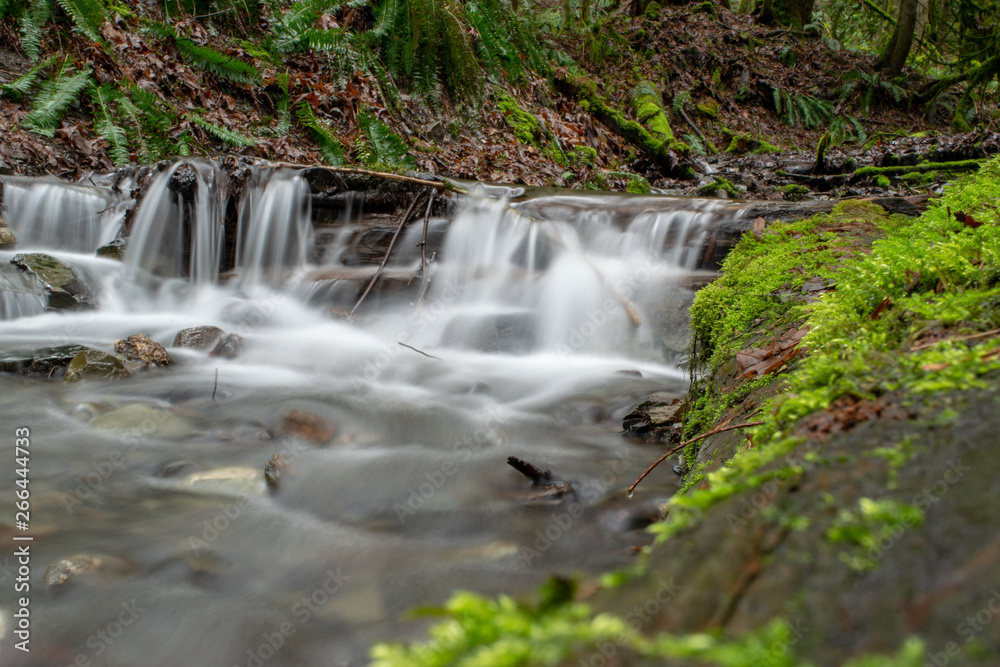 Obraz premium waterfall in forest