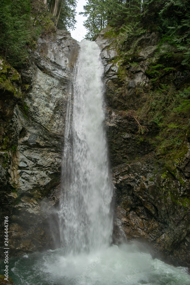 Fototapeta premium waterfall in deep forest