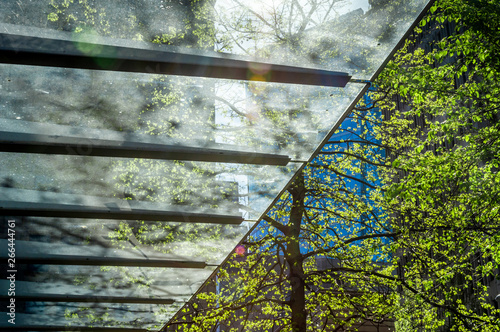 фотографія Abstract of sunliit modern clear glass building entrance overhang with lens flare and tree, downtown city setting