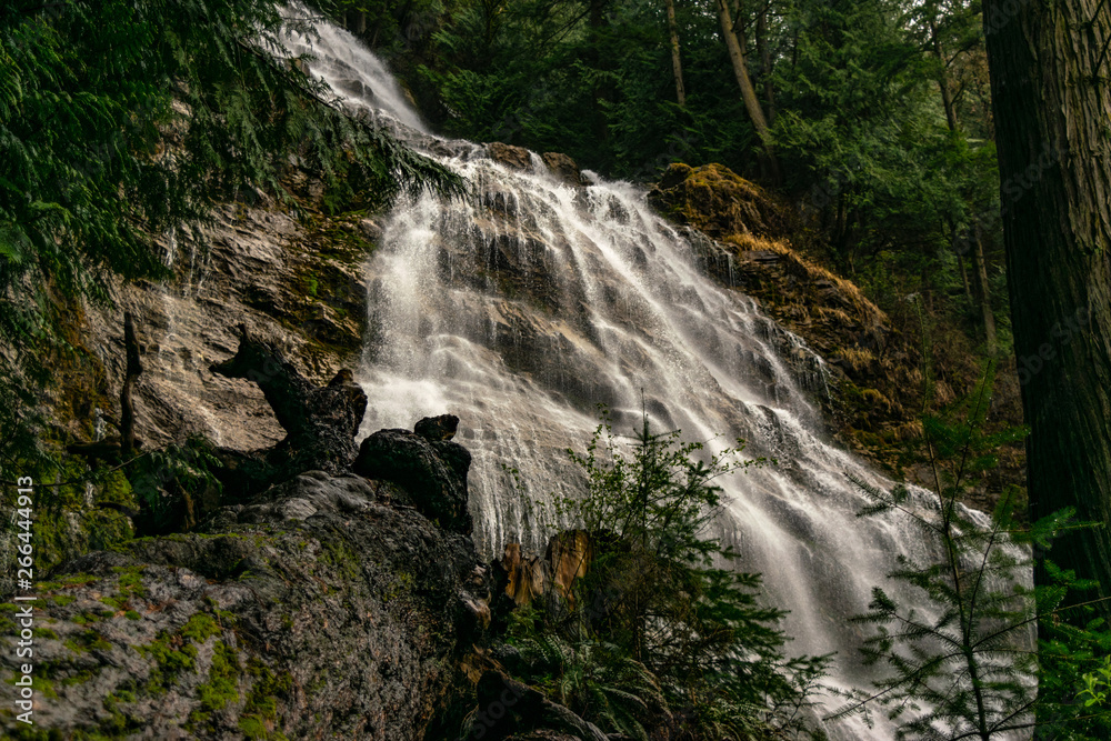 Obraz premium waterfall in forest