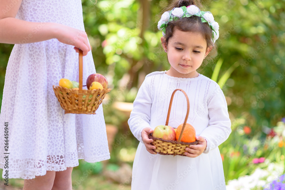 Harvest. Shavuot. Autumn. Close up little girls holds basket with fresh first fruits at the summer garden. Harvest. Shavuot. Autumn. Close up little girls holds basket with fresh first fruits at the summer garden.