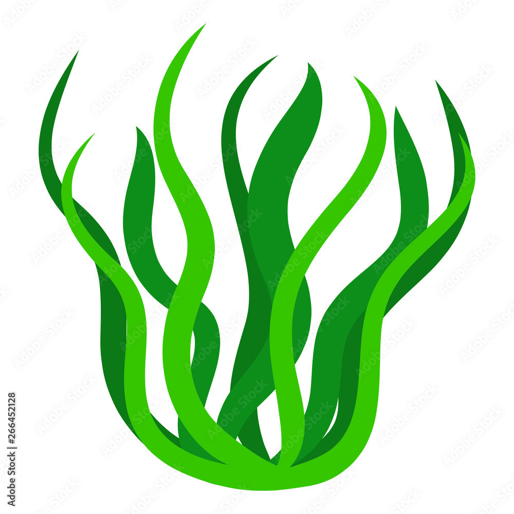 Green algae isolated illustration on white background Green algae isolated illustration on white background