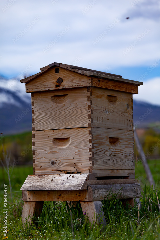 Beehive Beehive