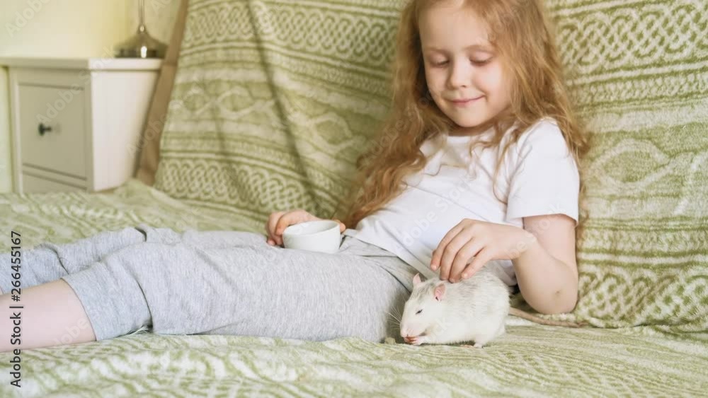 baby girl playing with a rat baby girl playing with a rat