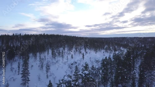 Drone shot moving back slowly over a arctic forest in lapland. The landscape is covered in snow and the sky in the background is slightly lightened by the sun light over some clouds photo