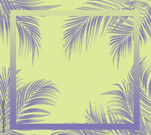 frame picture with green leaf of palm tree background