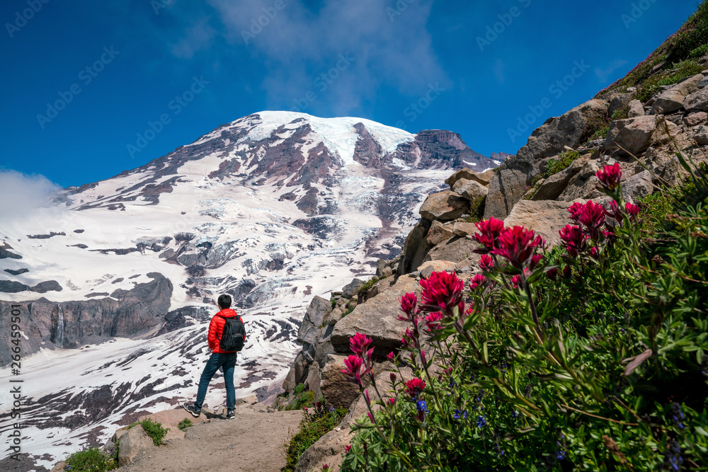 Fototapeta premium Beautiful wildflowers and Mount Rainier, Washington state