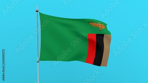 Flag of the country    Zambia on blue background. 3D rendering