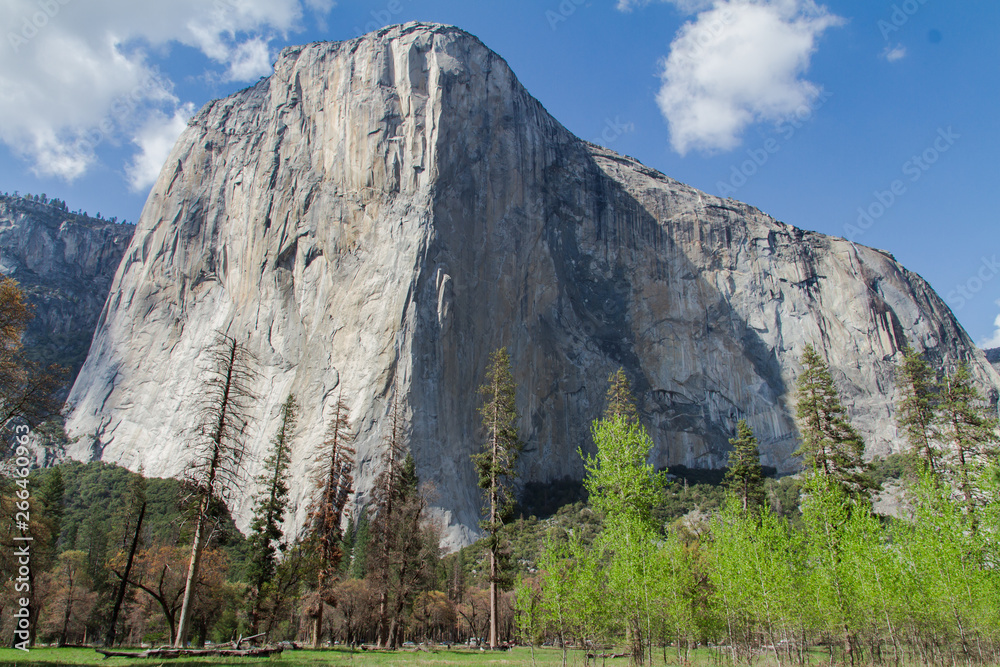 El Capitan Granite Face in Yosemite Valley National Park