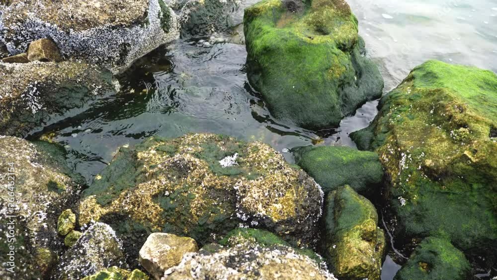 Stones and rocks covered by moss along water and sea waves near Corniche Doha Bay, Doha, Qatar, Middle East Stones and rocks covered by moss along water and sea waves near Corniche Doha Bay, Doha, Qatar, Middle East