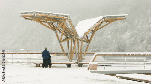 people walk during snowfall