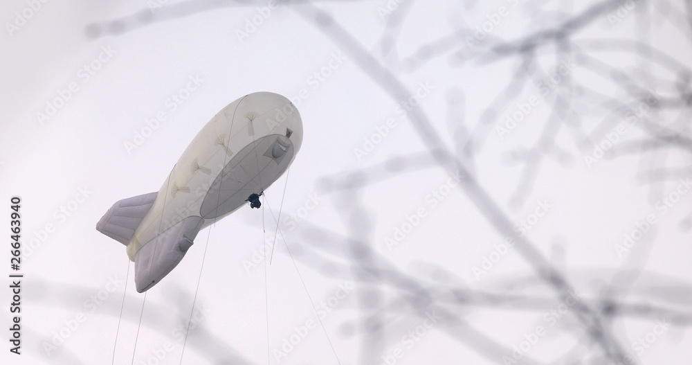 Fototapeta premium Zeppelin in the gray sky with branches bottom view