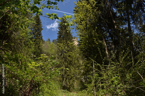 Kraig, Wallfahrtskapelle, Kapelle, Schloss, Burg, Mittelalter, Kraiger Schlösser, Kärnten, Österreich, Ruinen, Hochkraig, Niederkraig, Neukraig, Burgenkette, Herzogstadt, Sankt Veit, Sankt Veit an der photo