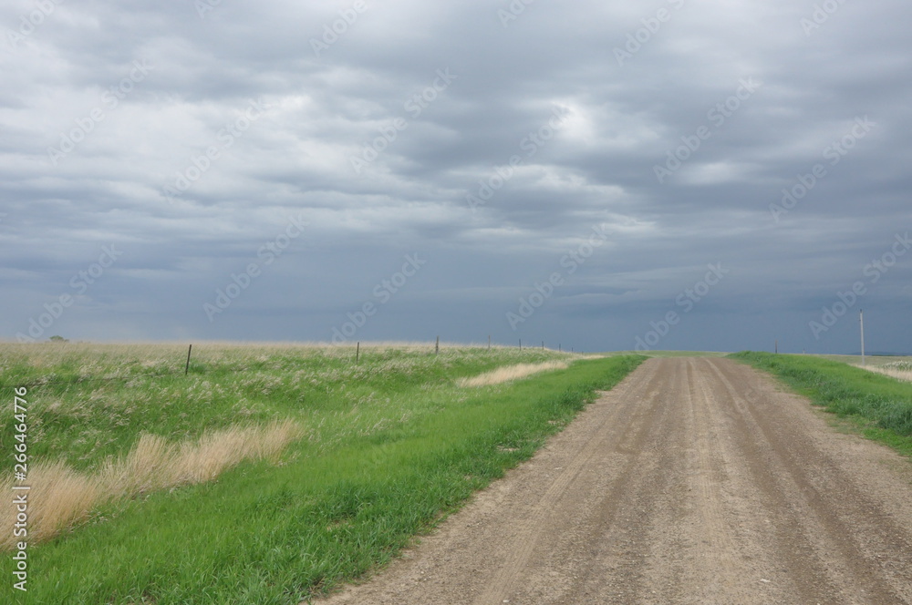 Grey Sky and Dirt Road Straight H