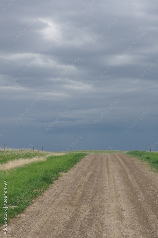 Grey Sky and Straight Dirt Road V Grey Sky and Straight Dirt Road V