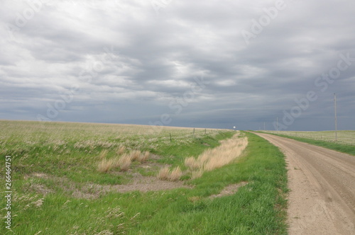 Grey Sky and Curved Dirt Road