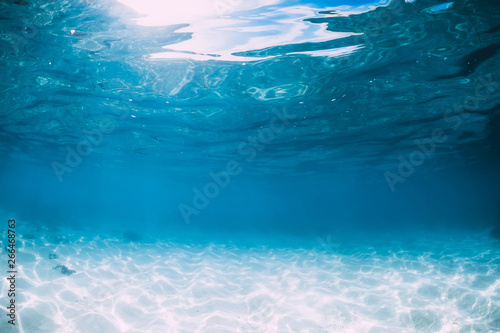 Fototapet Tropical blue ocean with white sand underwater in Hawaii