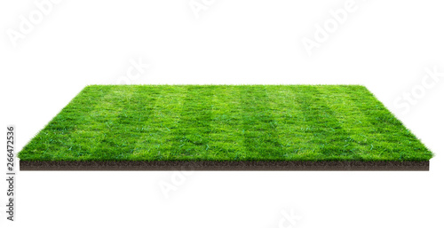 Green grass field isolated on white with clipping path. Sports field. Summer team games.