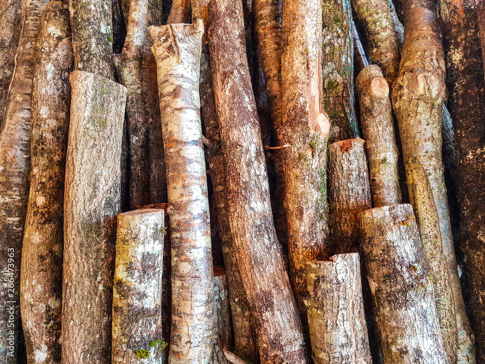 Chunks of beech wood stacked, Chunks of beech wood stacked,