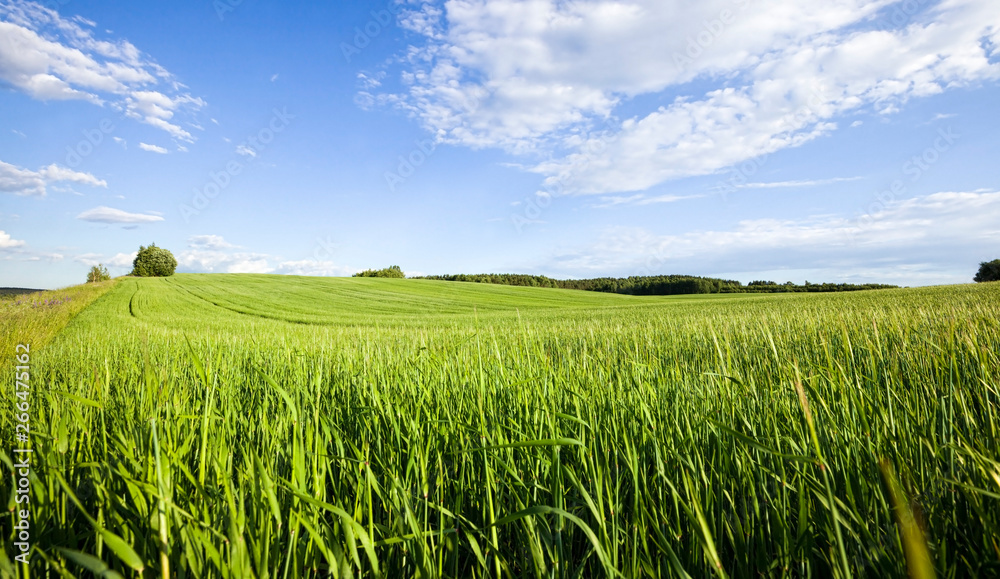 Agricultural field Agricultural field