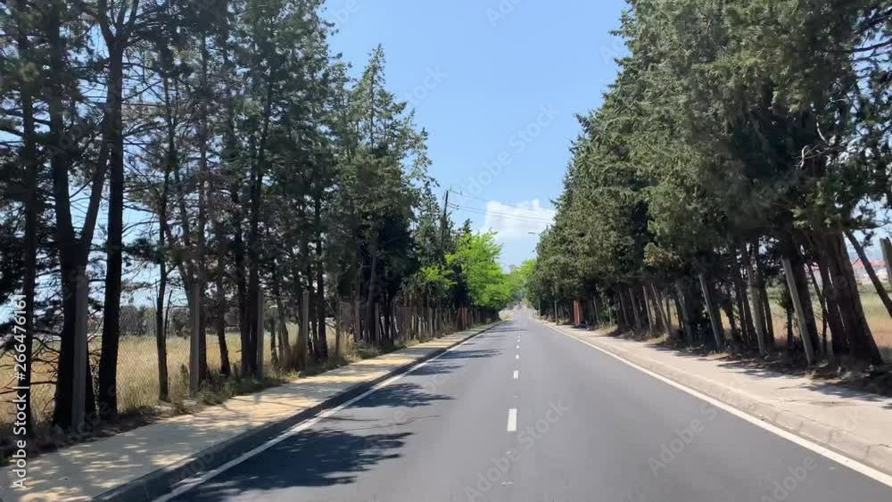 driving down road with bushes/trees