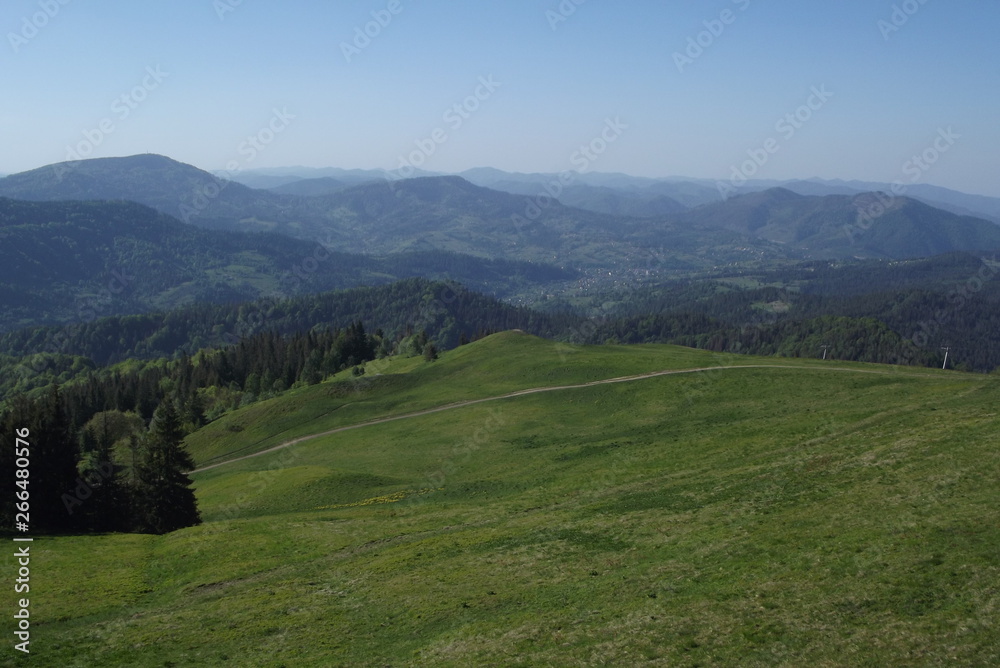 Fototapeta premium MY COUNTRY