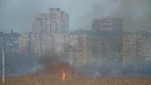 Dense volumes of fume and shining fire gobbling Dnipro wetland in the evening photo