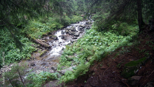 river in mountain forest