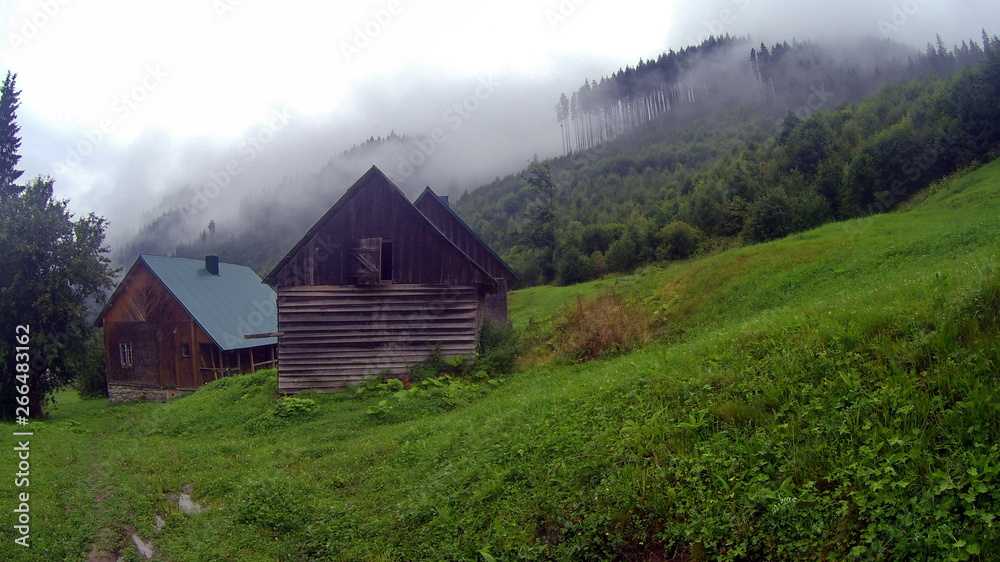 Fototapeta premium Clouds and fog over Carpathian mountains