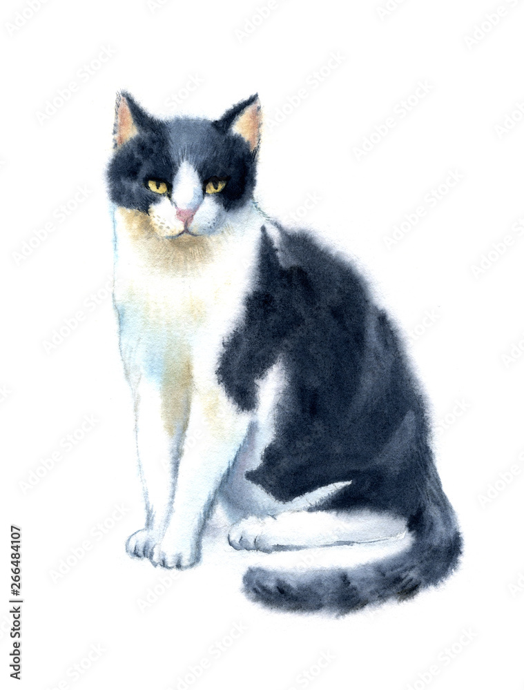 Watercolor illustration hand drawn funny cute playful cat with stripes - kitten aquarelle - black, grey, white