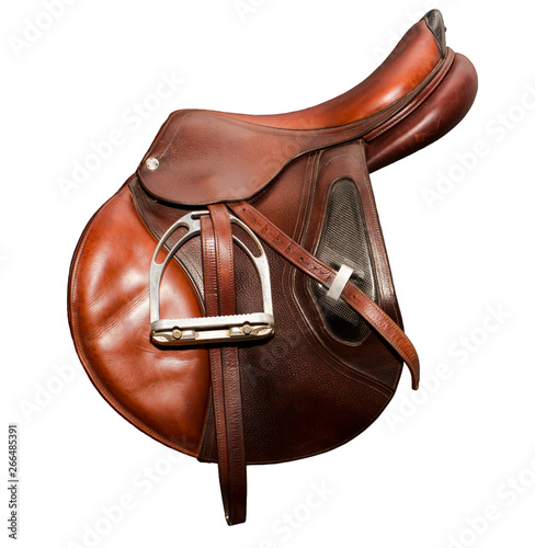 Sport saddle brown jumping on a white background