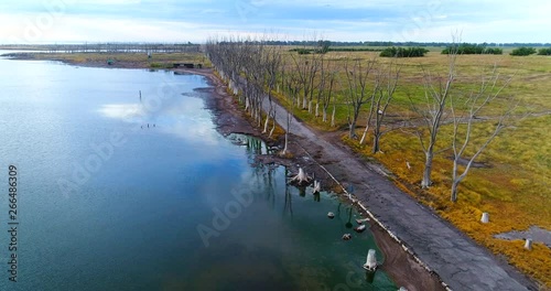 Wallpaper Mural Along the lagoon coast side scene view Torontodigital.ca