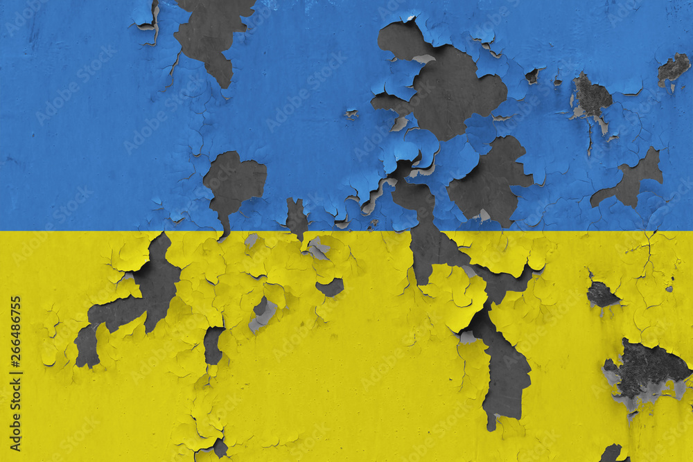 Close up grungy, damaged and weathered Ukraine flag on wall peeling off paint to see inside surface.