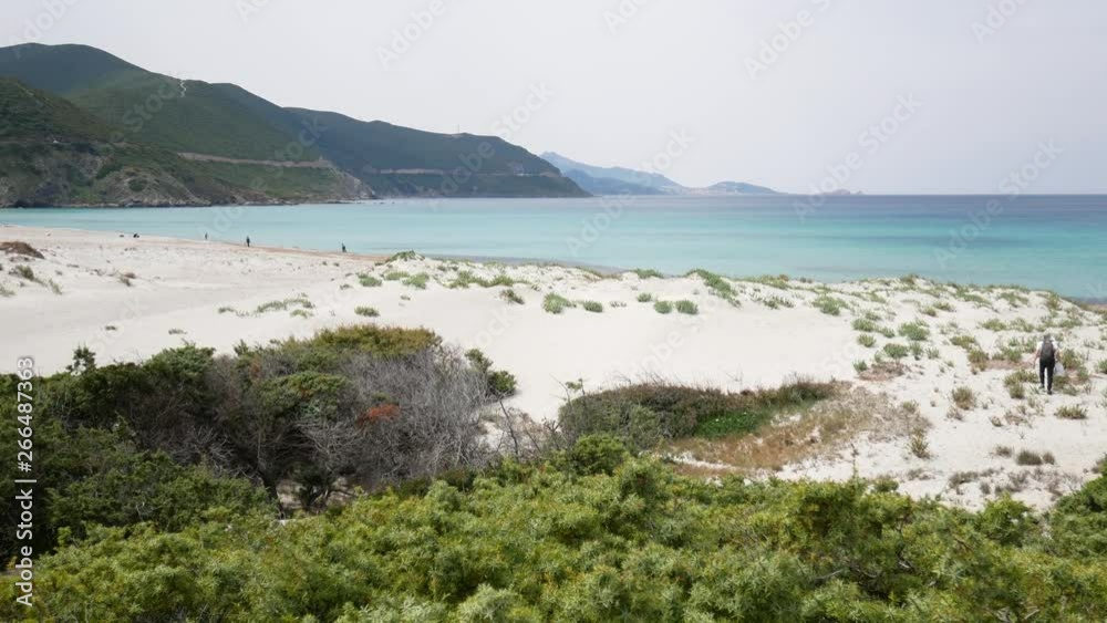 Sand dune with sparse vegetation of a European desert with sea on background. Shrubs of Mediterranean scrub on sandy dunes. Ostriconi beach, Desert des Agriates, Balagne region, Corsica, France. Sand dune with sparse vegetation of a European desert with sea on background. Shrubs of Mediterranean scrub on sandy dunes. Ostriconi beach, Desert des Agriates, Balagne region, Corsica, France.