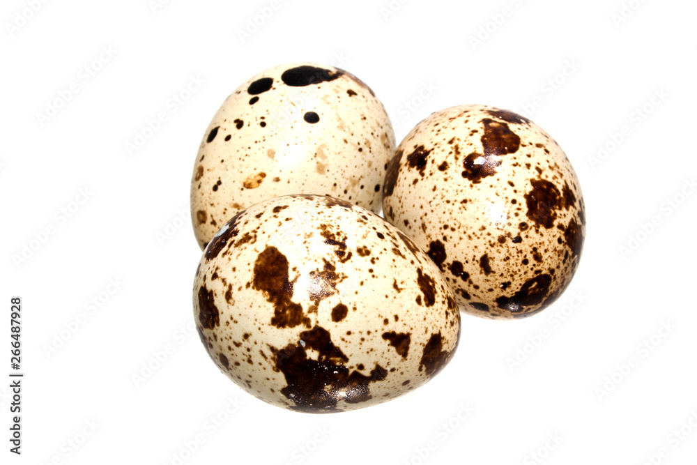 egg isolated on white background egg isolated on white background