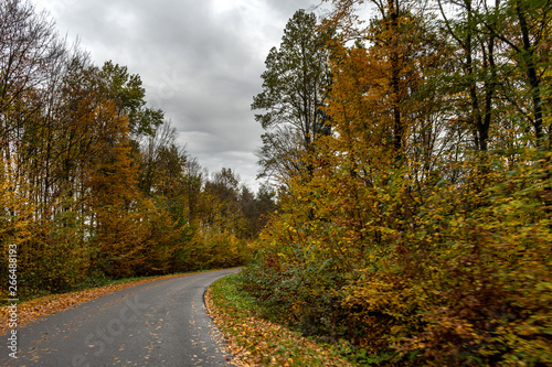 Winding road in autumn. 