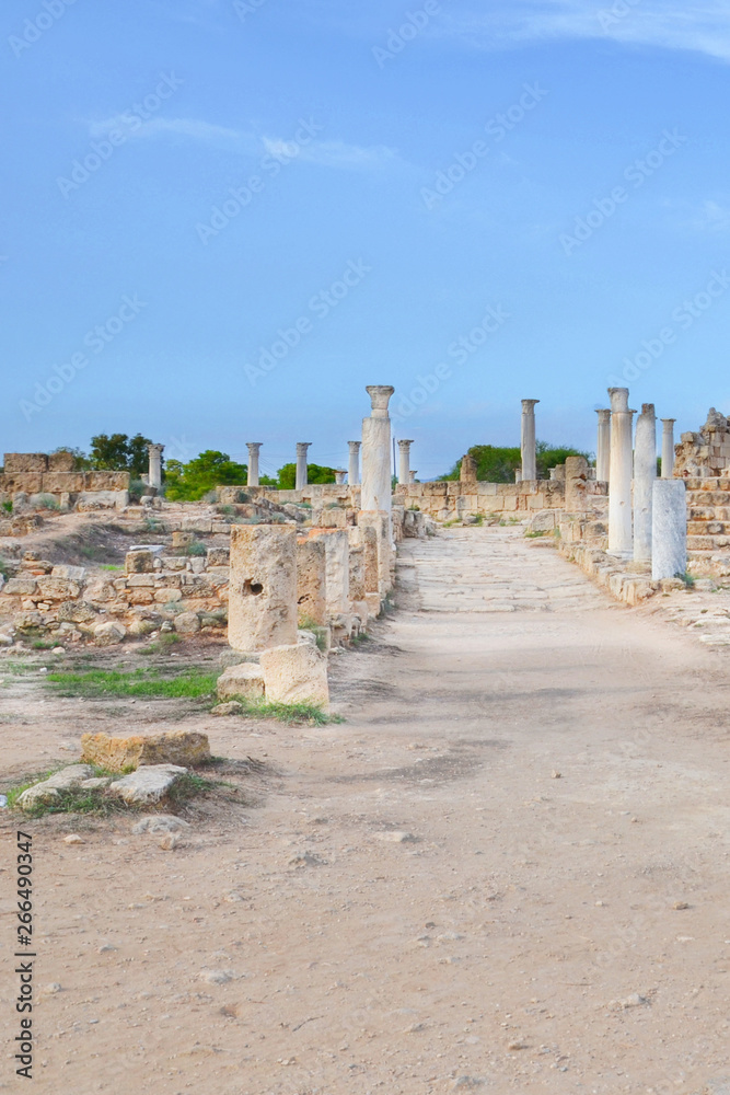 Spectacular ancient ruins of the famous gymnasium at Salamis, Turkish Northern Cyprus. Captured on a vertical picture with blue sky above. Famous tourist attraction with historical significance.