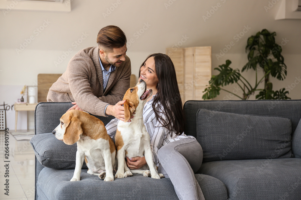 Young couple with cute dogs at home