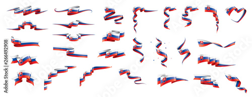 Slovakia flag  vector illustration on a white background