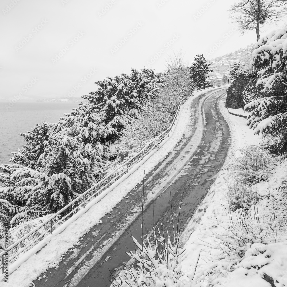 Winter landscape in black and white.