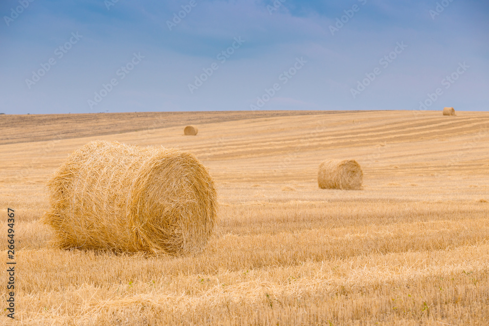 Hay bales under a cloudy sunset sky on a harvested wheat field.