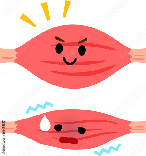 強い筋肉と弱った筋肉のキャラクター