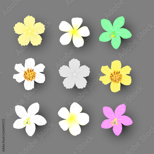 Vector illustration of flower collection on gray background